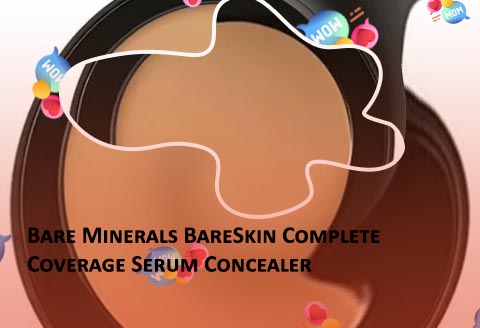 Bare minerals bare skin concealer